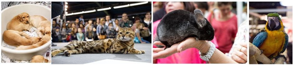 Paris Animal Expo Le salon des animaux de compagnie